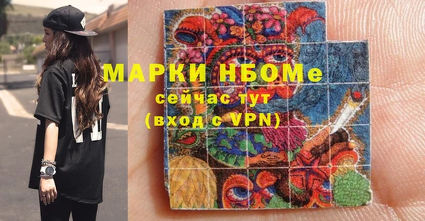 прущие грибы Абинск