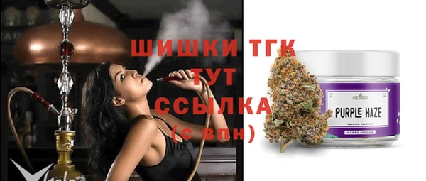 прущие грибы Абинск