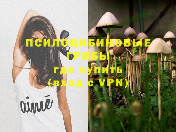 прущие грибы Абинск