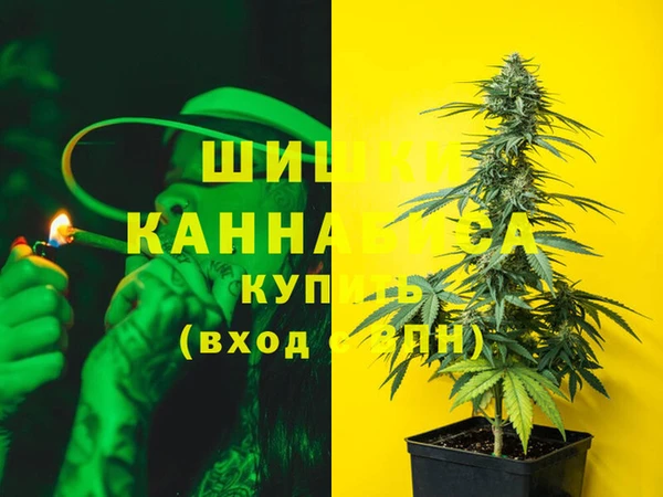 прущие грибы Абинск