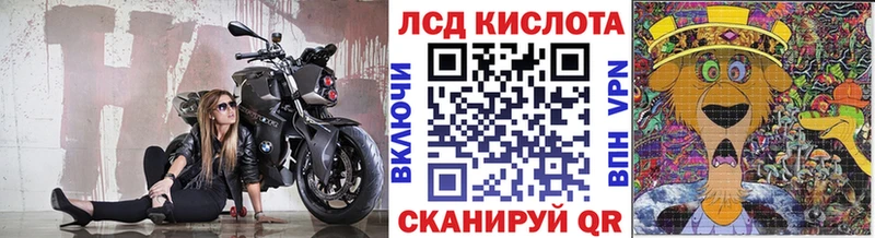где найти наркотики  Пудож  площадка какой сайт  Наркотические марки 1,5мг 