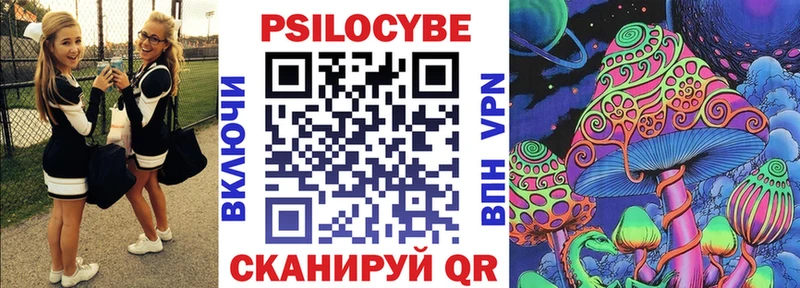 купить закладку  Пудож  Псилоцибиновые грибы мухоморы 