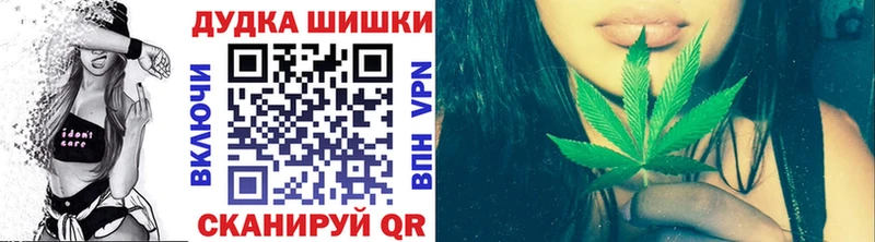 Конопля SATIVA & INDICA  Пудож 